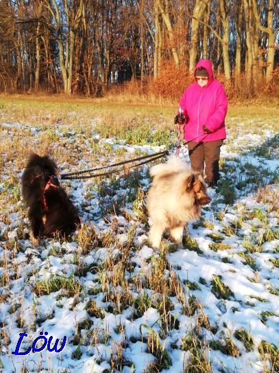 8.1.2021 - Dwix und Howie suchen den verschwundenen Schnee